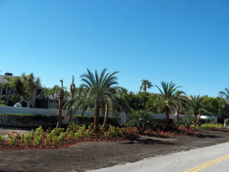 Top-rated landscape installation in Jupiter, FL - Jupiter Lawn Care