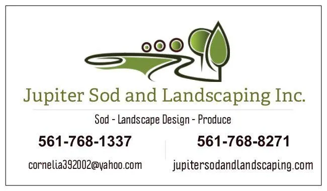 Expert lawn mowing service for outdoor upgrades in Jupiter, FL by Jupiter Sod and Landscaping