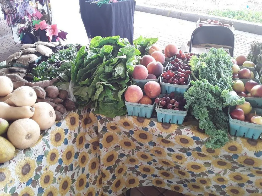 Local lawn mowing service in Jupiter, FL - Jupiter Sod and Landscaping