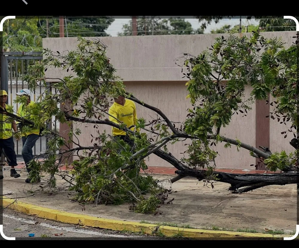 Local landscape design in Hutto, TX - Jurados Landscaping