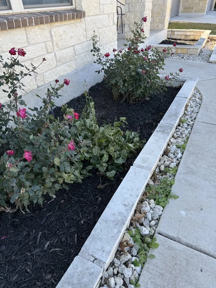 Professional landscape design for year-round maintenance in Hutto, TX by Jurados Landscaping