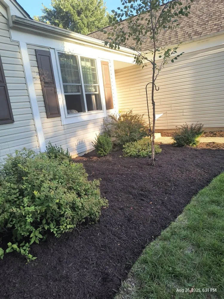 Reliable yard maintenance in Aurora, IL - Jurado's Lawn Dethaching & Aeration