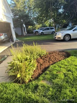 Jurado's Lawn Dethaching & Aeration Logo