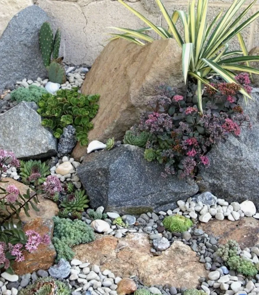 Affordable yard cleanup service for outdoor upgrades across Queen Creek, AZ - Jurassic Landscape & Hardscape