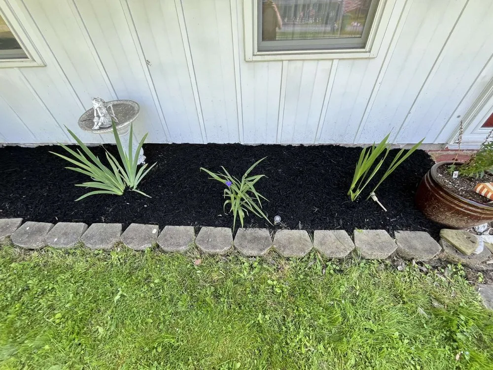 Top-rated lawn care service experts serving Honeoye Falls, NY - Jurassic Landscaping and Services