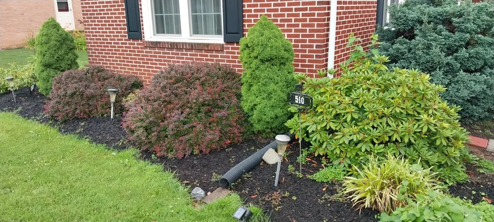 Reliable yard maintenance near you in Hummelstown, PA by Just 2 Kids And An Old Man