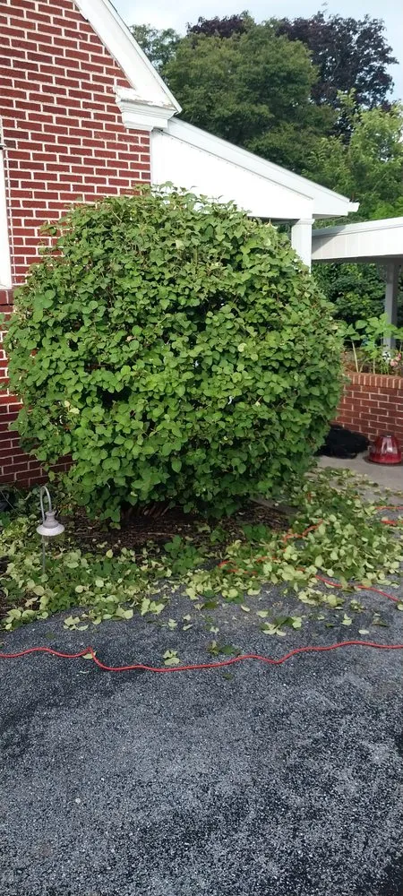 Professional landscape installation for homes in Hummelstown, PA by Just 2 Kids And An Old Man