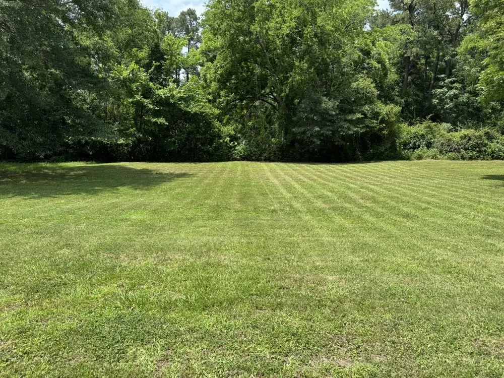 Professional yard cleanup service for homes in Lufkin, TX by Just a Cut Lawn Care