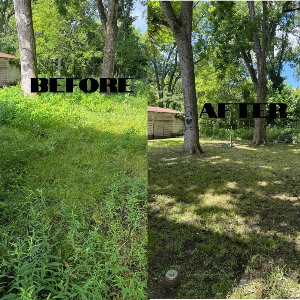 Top-rated landscaping services in Lufkin, TX - Just a Cut Lawn Care