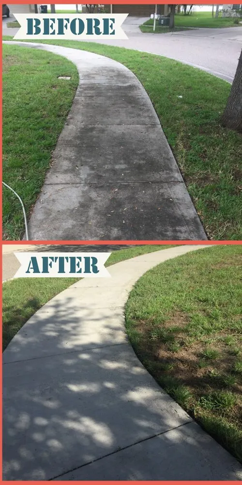 Professional yard cleanup service for residential properties in Riverview, FL by Just A Guy Pressure Washing