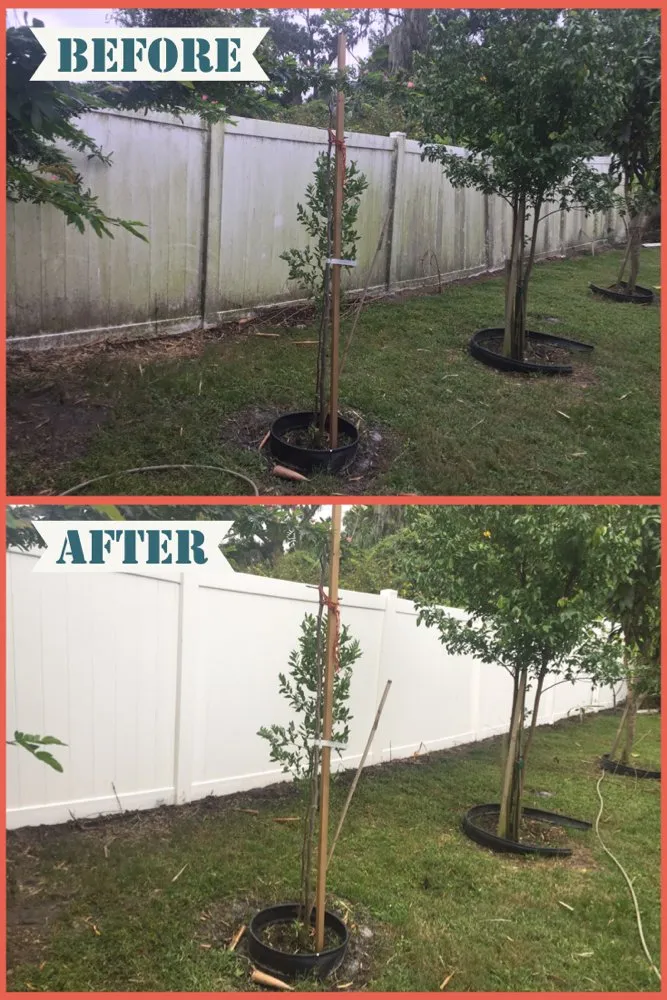 Affordable garden landscaping for year-round maintenance in Riverview, FL by Just A Guy Pressure Washing