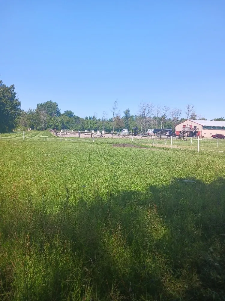 Custom lawn mowing service with custom design across Scottsville, NY - Just A Man And His Mower