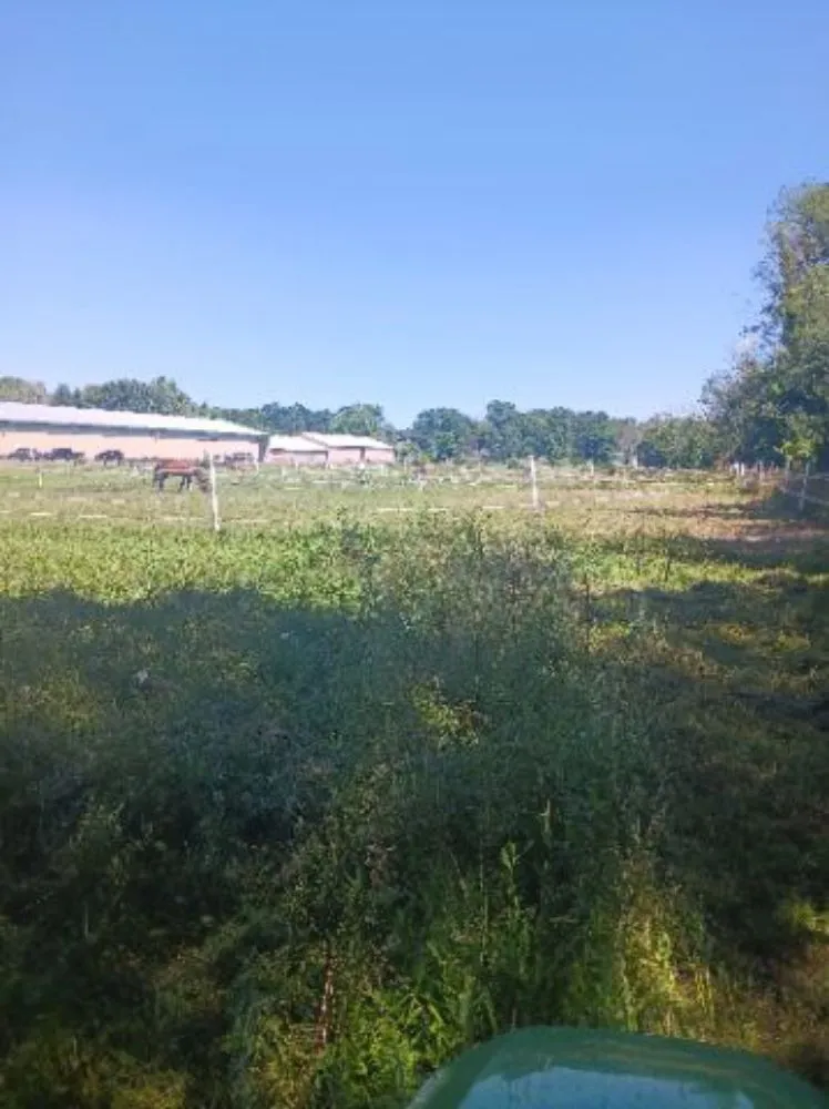 Local yard maintenance in Scottsville, NY by Just A Man And His Mower