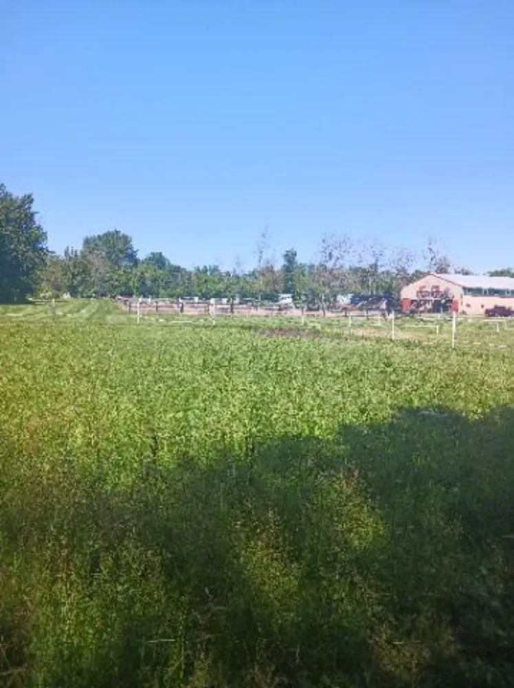 Trusted yard maintenance with custom design in Scottsville, NY by Just A Man And His Mower