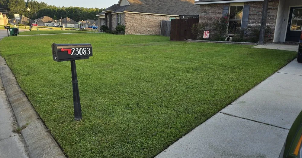Local yard maintenance experts serving Robert, LA - Just A Trim Lawn Care