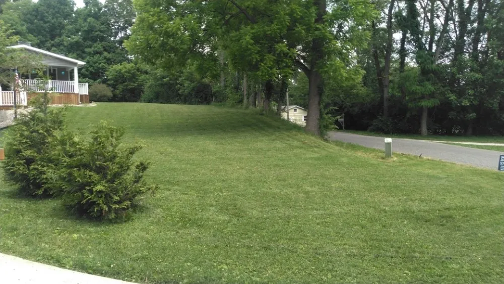 Custom yard cleanup service for residential properties in Plymouth, IN by Just a Trim Lawn Detail