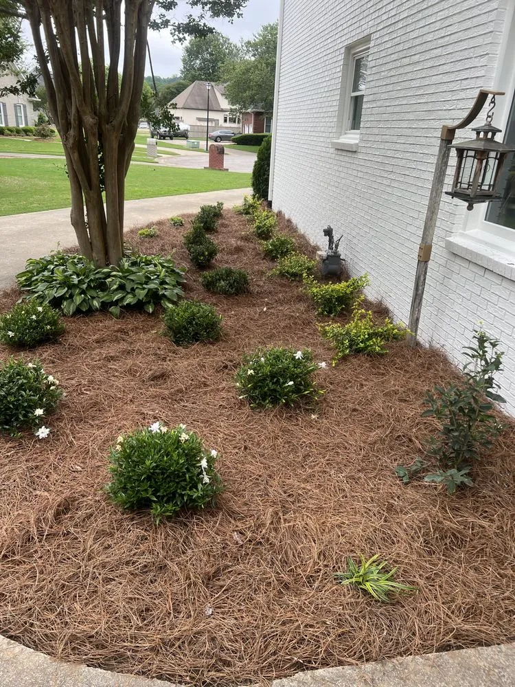 Affordable yard maintenance in Pinson, AL - Just A Trimm Landscaping