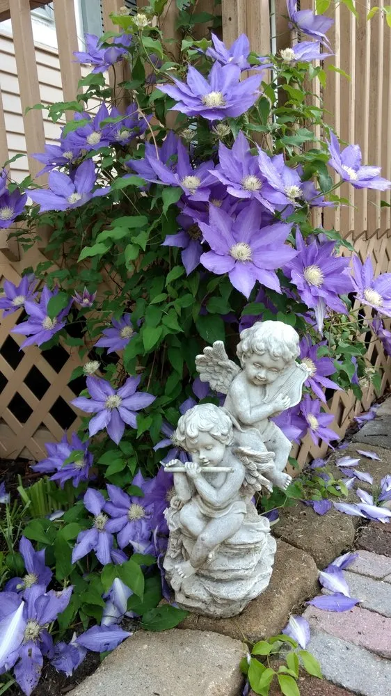 Local residential landscaping for beautiful yards across Milford, OH - Just Add Flowers