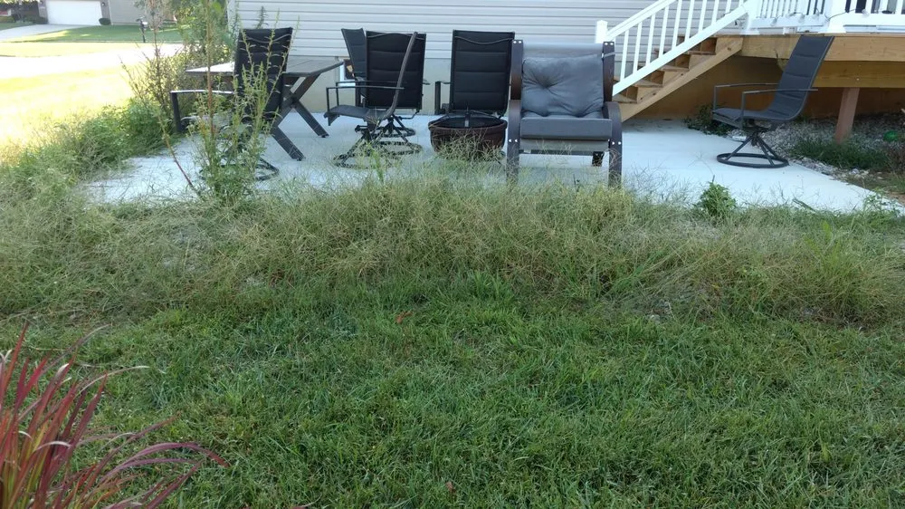 Professional lawn care service for beautiful yards across Milford, OH - Just Add Flowers