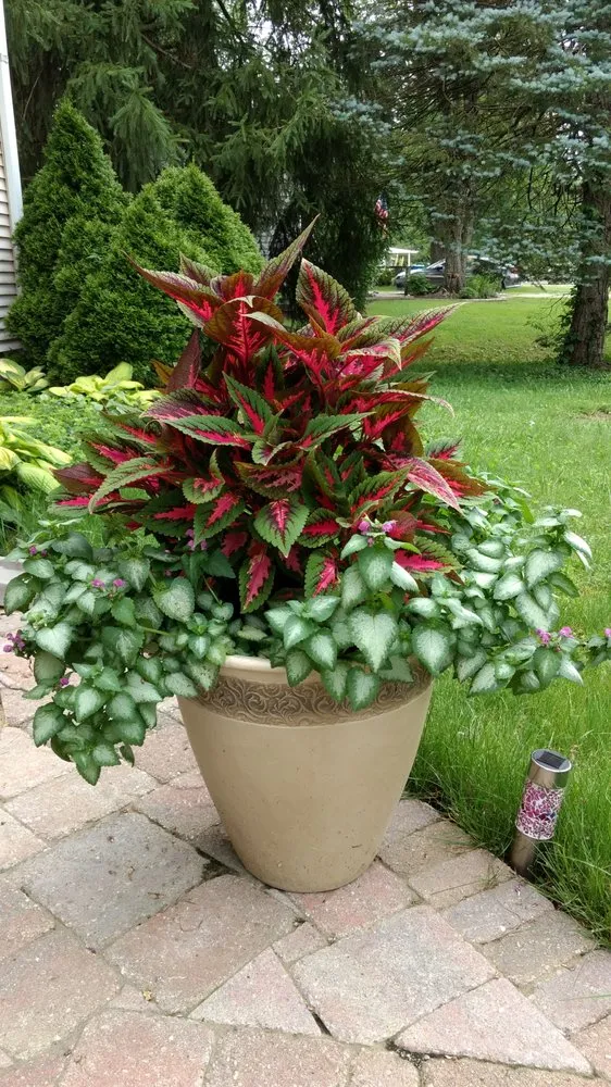 Local lawn mowing service in Milford, OH by Just Add Flowers