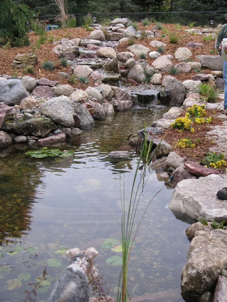 Local lawn care service for residential properties across Des Moines, IA - Just Add Water