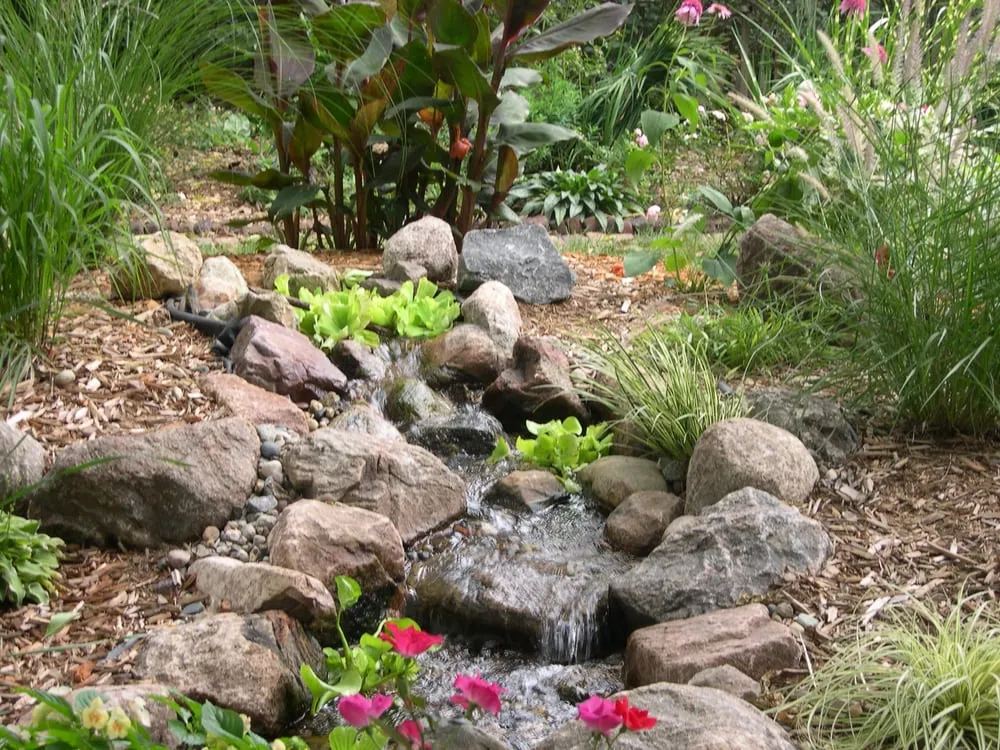 Professional yard cleanup service in Des Moines, IA - Just Add Water