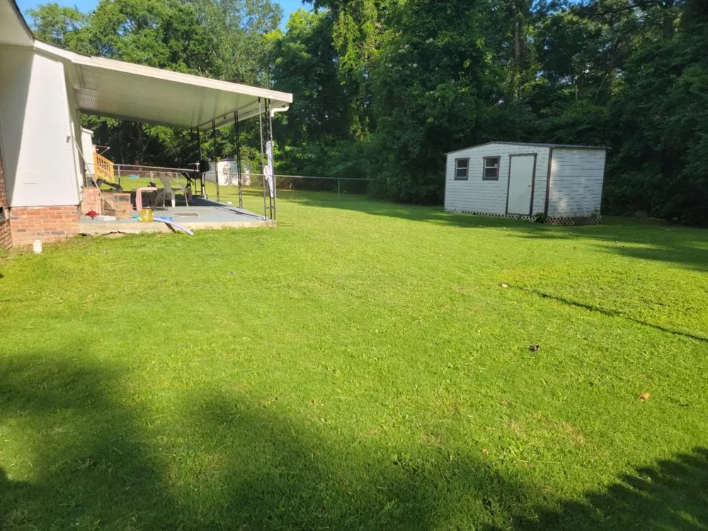 Top-rated landscaping services in Columbus, GA by Just Ask Bee