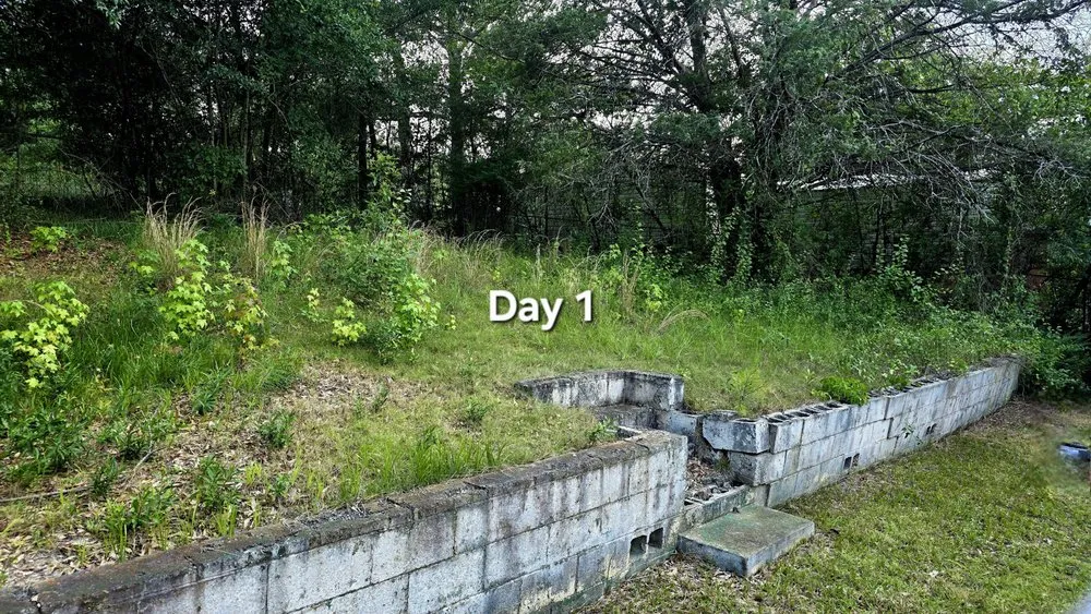 Affordable yard cleanup service for residential properties in Columbus, GA by Just Ask Bee