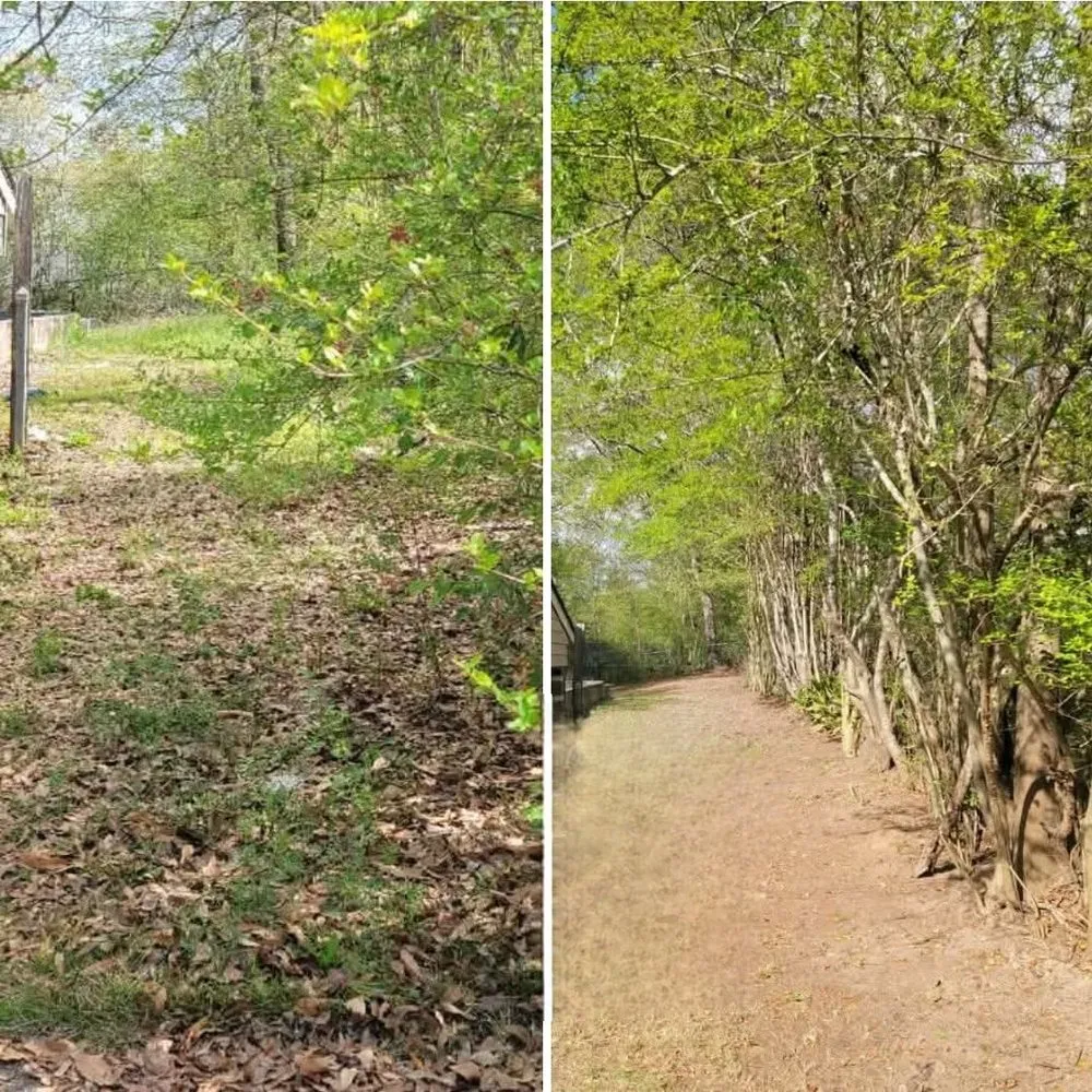 Top-rated landscape installation in Columbus, GA - Just Ask Bee