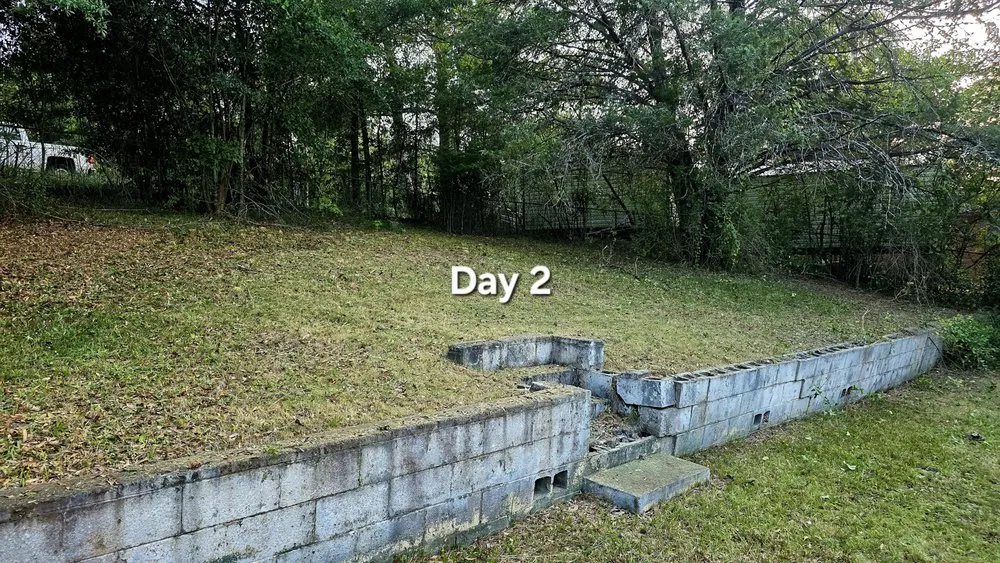 Trusted lawn care service for outdoor upgrades across Columbus, GA - Just Ask Bee