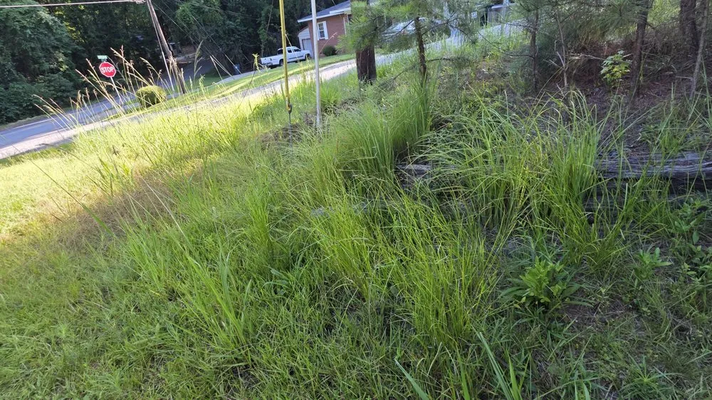 Trusted outdoor landscaping experts serving Columbus, GA - Just Ask Bee