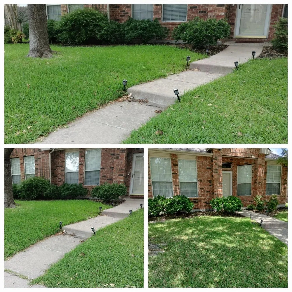 Top-rated landscape design experts serving Rowlett, TX - Just Ask Homecare