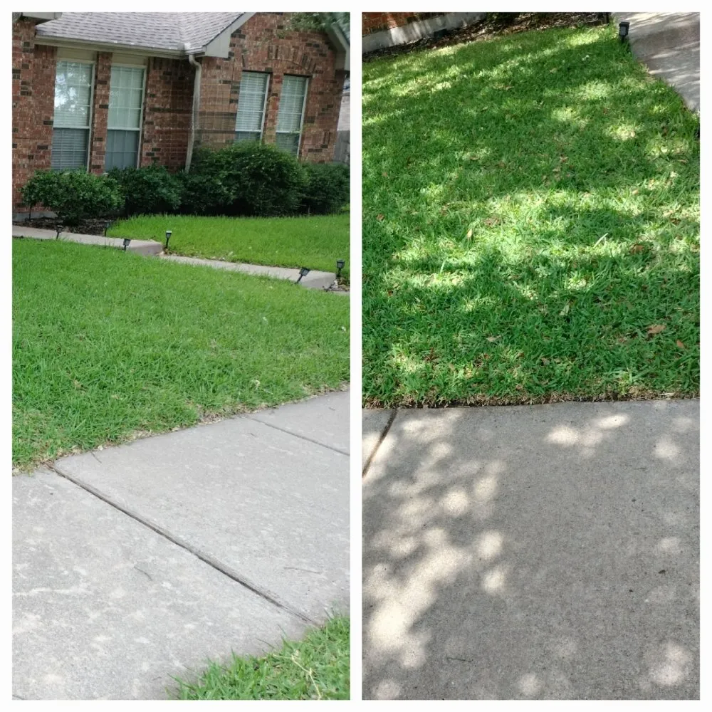 Top-rated yard cleanup service in Rowlett, TX - Just Ask Homecare