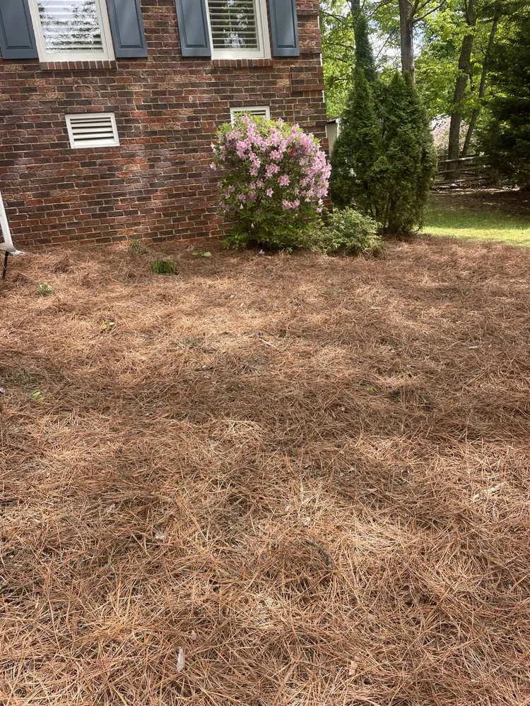 Custom lawn care service experts serving Mint Hill, NC - Just Call Jared