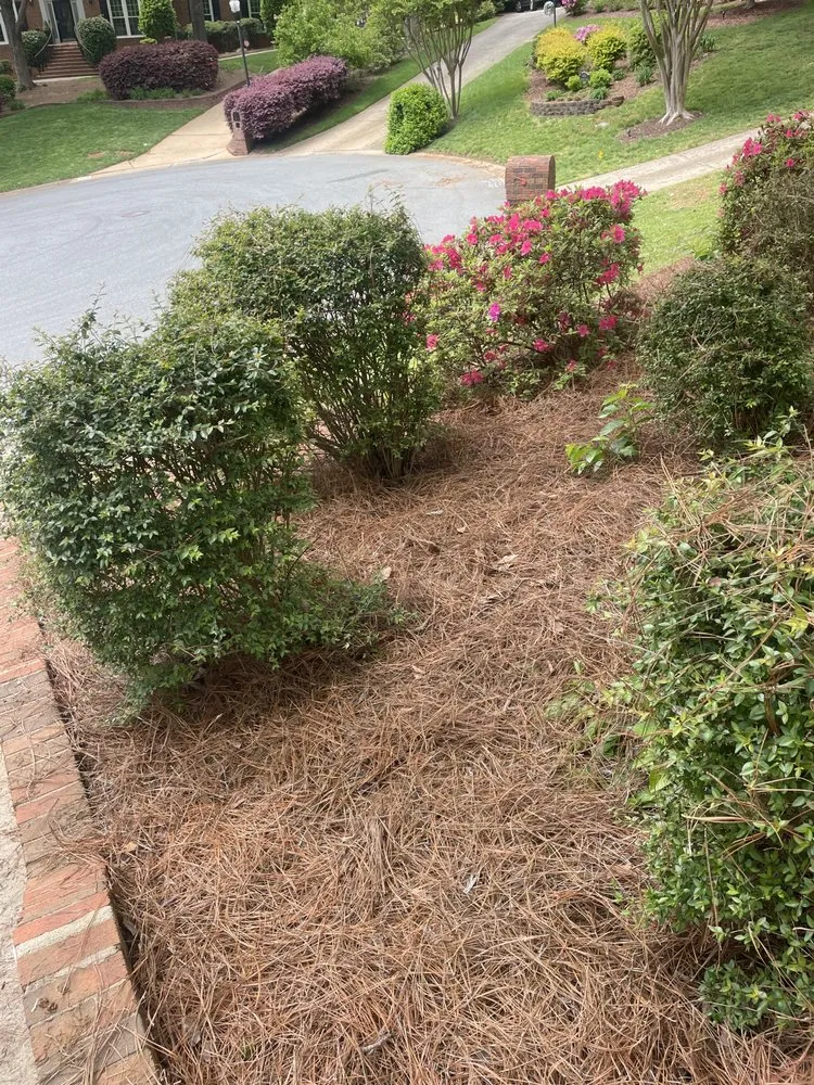 Top-rated lawn care service in Mint Hill, NC by Just Call Jared