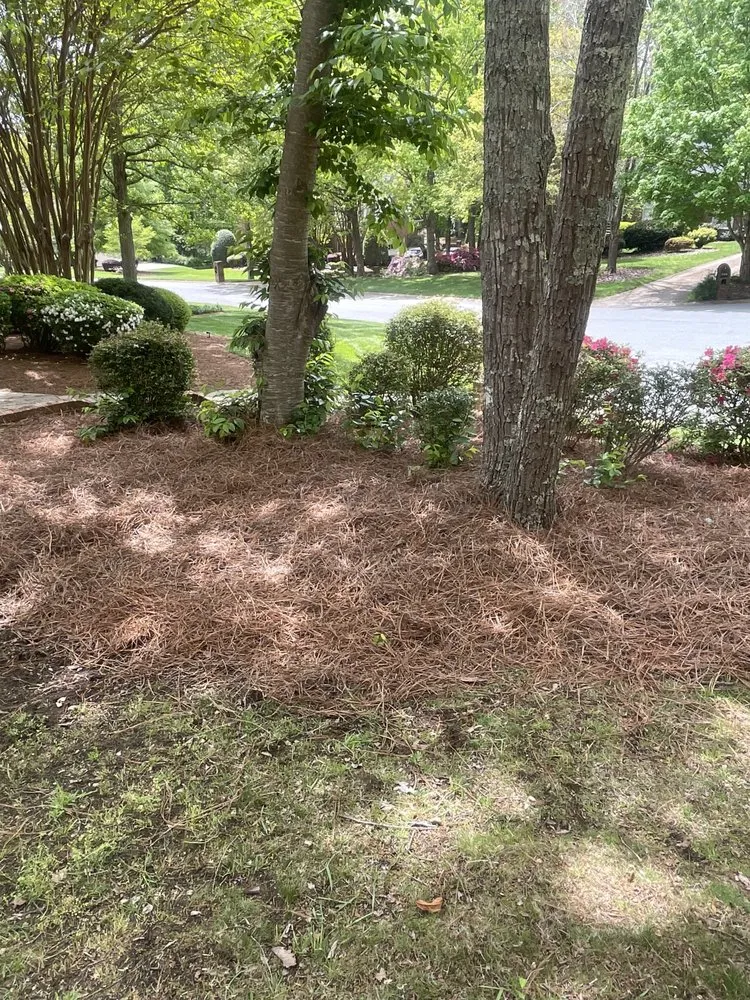 Top-rated yard cleanup service experts serving Mint Hill, NC - Just Call Jared