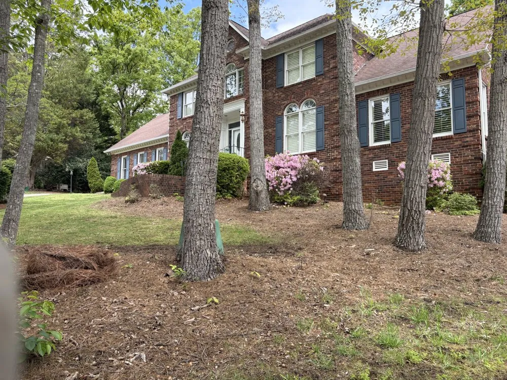 Professional residential landscaping in Mint Hill, NC - Just Call Jared