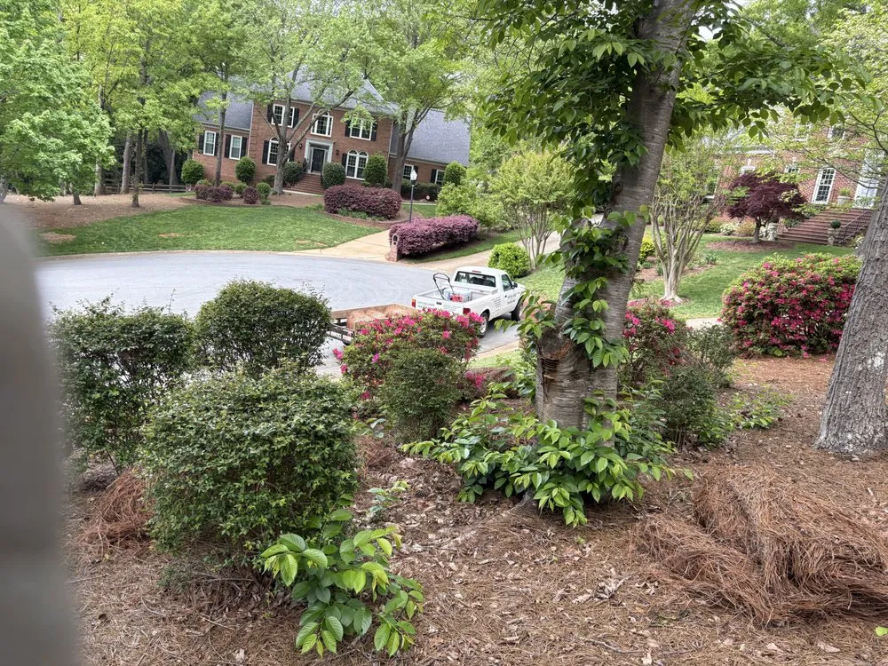 Reliable landscaping services for year-round maintenance in Mint Hill, NC by Just Call Jared