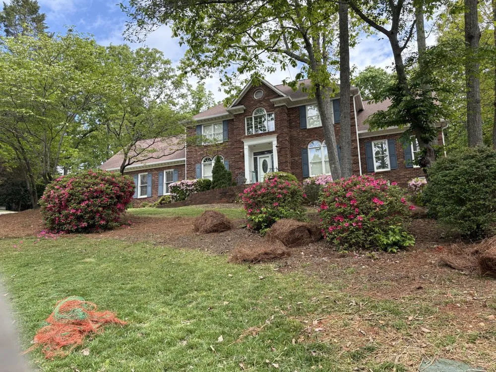 Trusted yard cleanup service in Mint Hill, NC - Just Call Jared