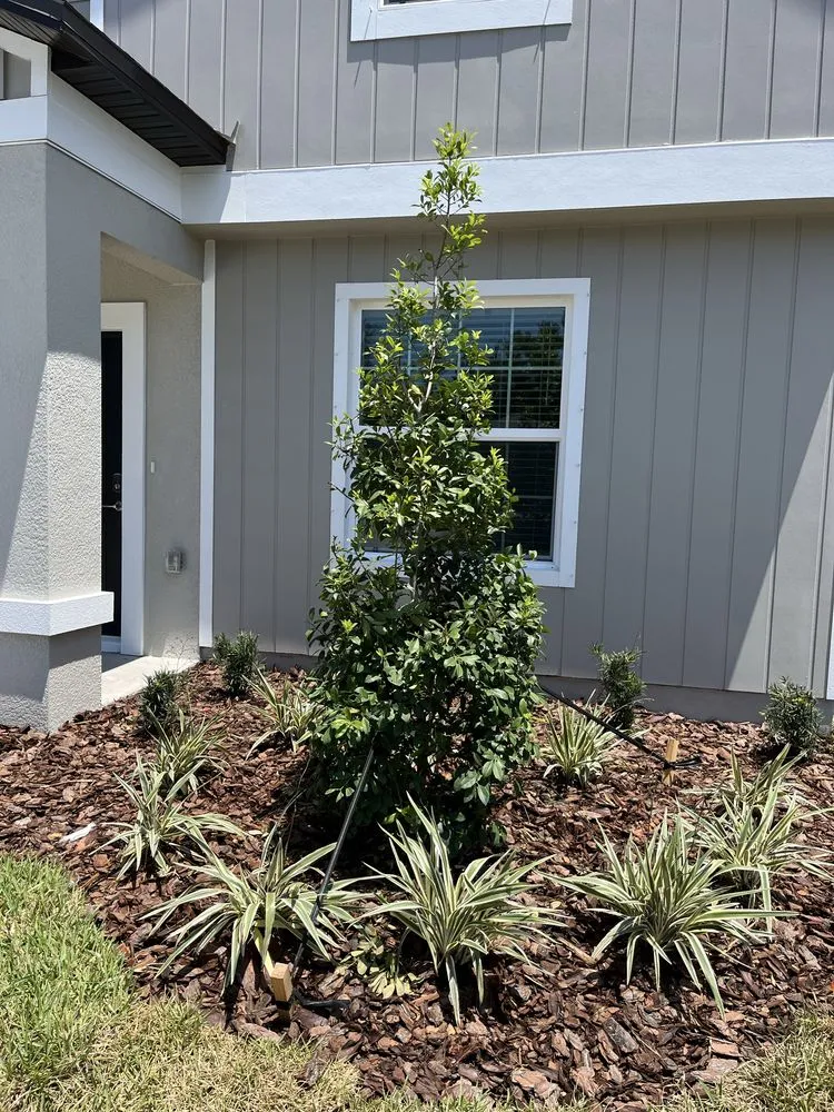 Expert landscape installation for residential properties across Port Richey, FL - Just Call Mister