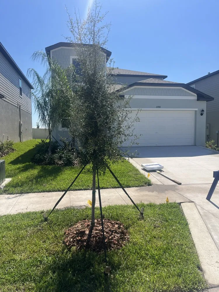 Professional residential landscaping in Port Richey, FL by Just Call Mister