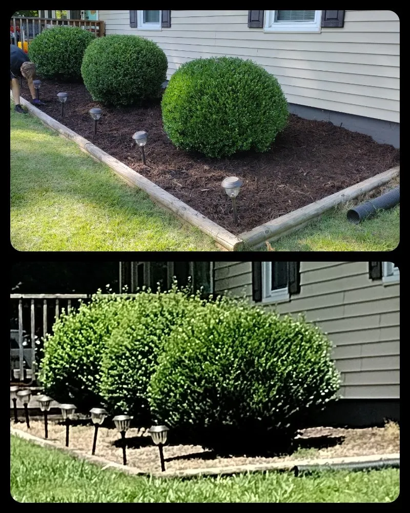 Affordable yard maintenance experts serving South Boston, VA - Just Chunkin' Junk