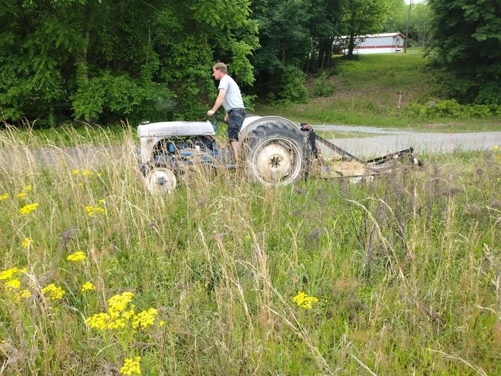 Reliable yard cleanup service in South Boston, VA by Just Chunkin' Junk
