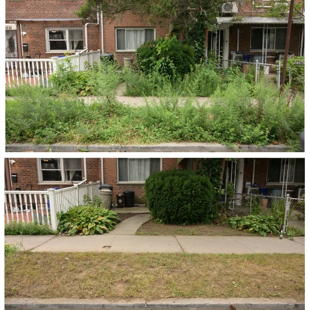 Professional outdoor landscaping experts serving New York, NY - Just Clean Lots