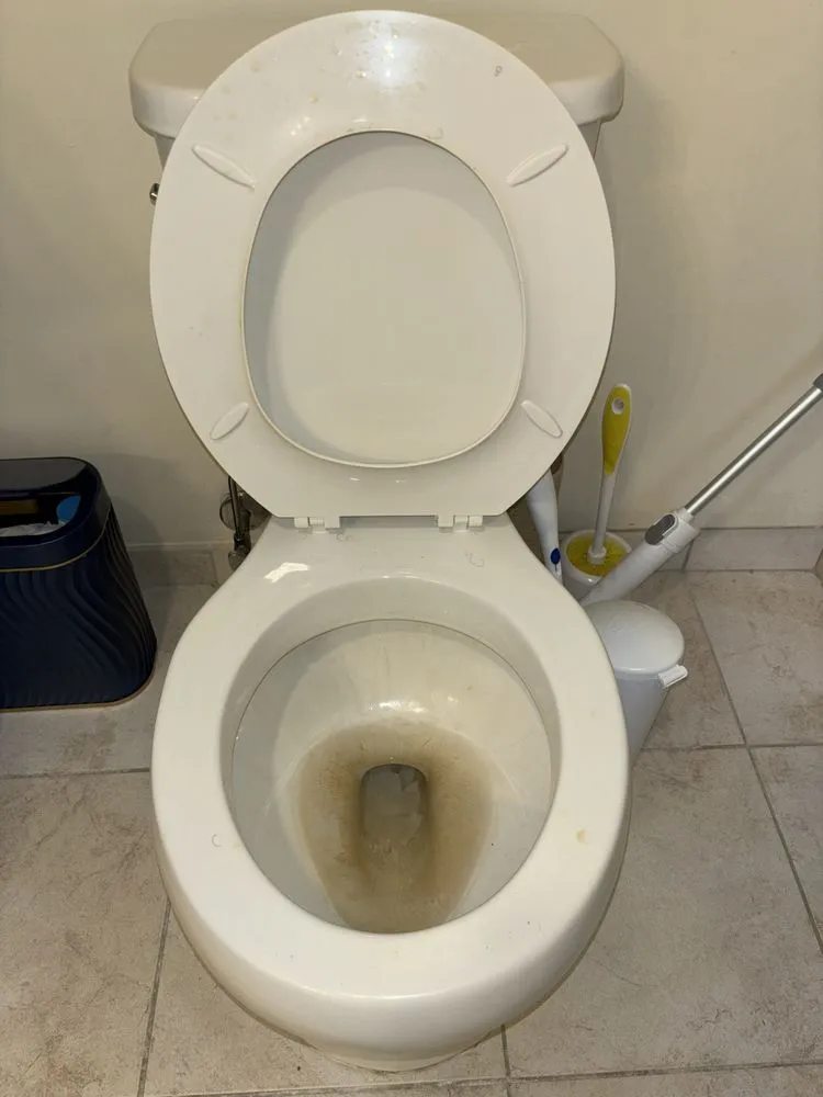 Expert yard maintenance in New York, NY by Just Clean Lots