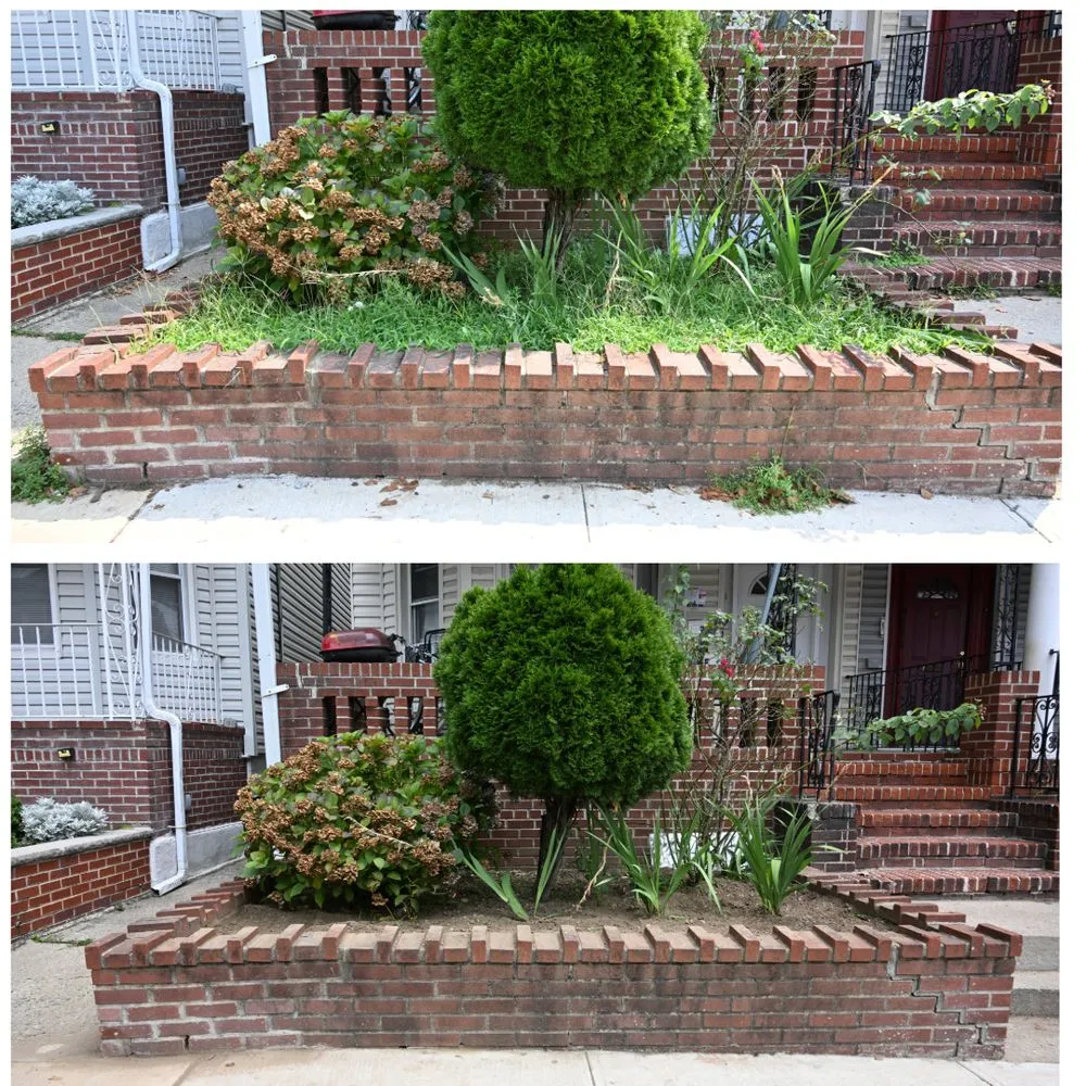 Trusted garden landscaping experts serving New York, NY - Just Clean Lots