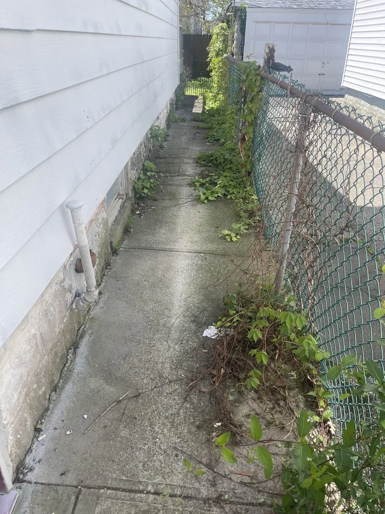 Expert landscape installation experts serving New York, NY - Just Clean Lots