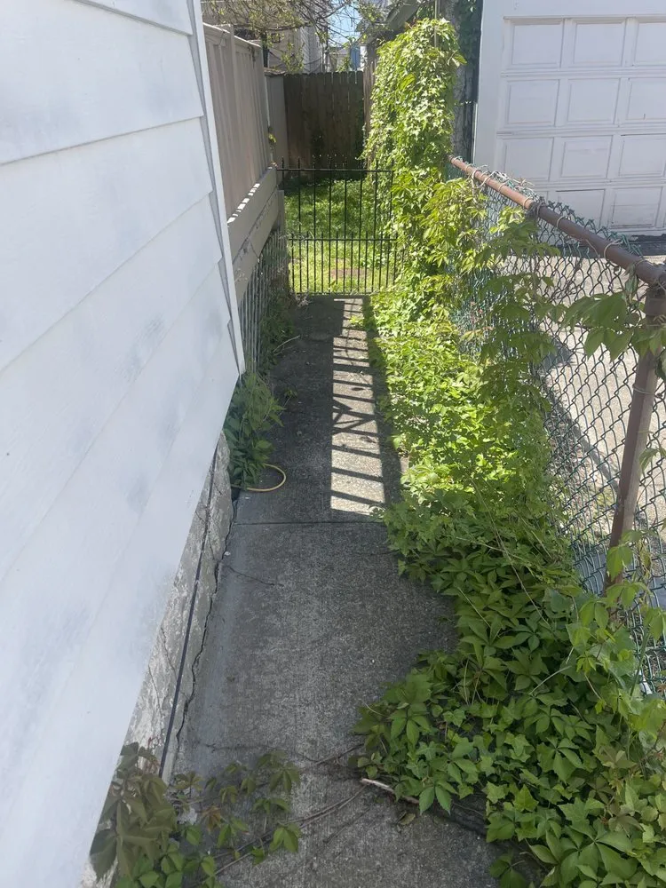 Affordable garden landscaping in New York, NY by Just Clean Lots