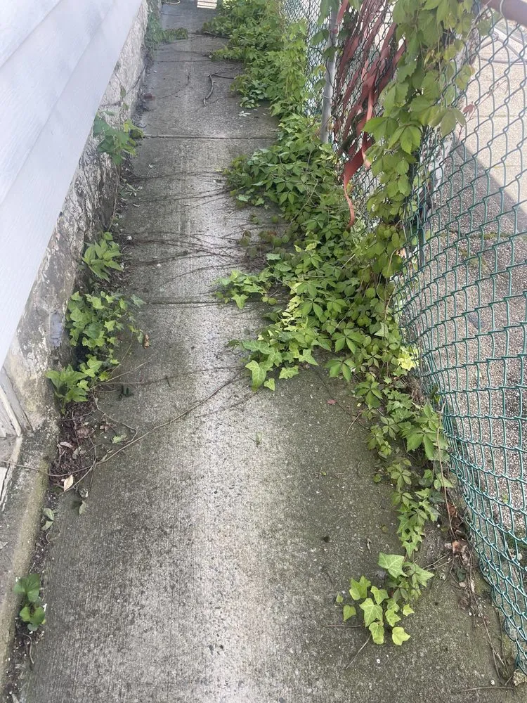 Professional outdoor landscaping in New York, NY by Just Clean Lots