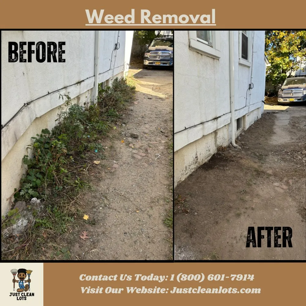 Local yard maintenance experts serving New York, NY - Just Clean Lots